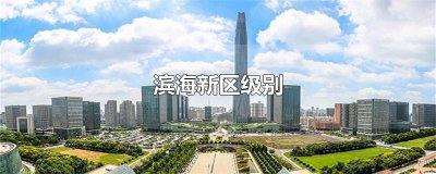 ​滨海新区级别