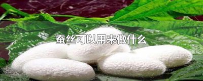 ​蚕丝可以用来做什么