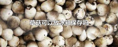 ​草菇可以放冰箱保存吗