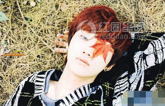 郑真英裴秀智是情侣吗 郑真英整了哪里