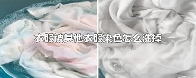 ​衣服被其他衣服染色怎么洗掉妙招