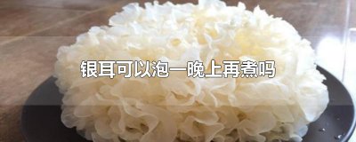 ​银耳可以泡一晚上再煮吗