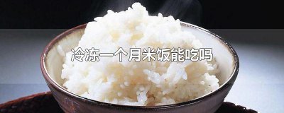 ​冷冻一个月米饭能吃吗