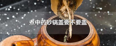 ​煮中药砂锅盖要不要盖
