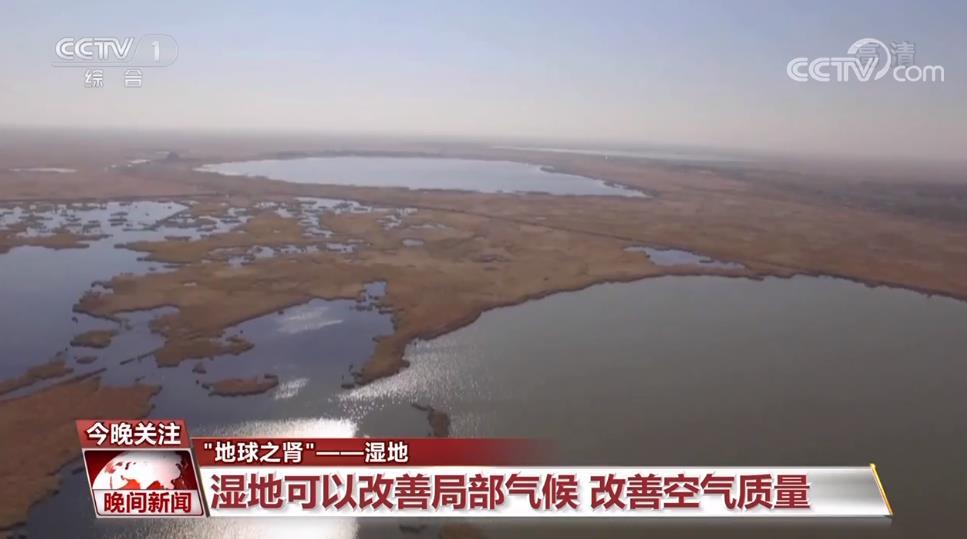 湿地被称为什么_关于湿地的资料