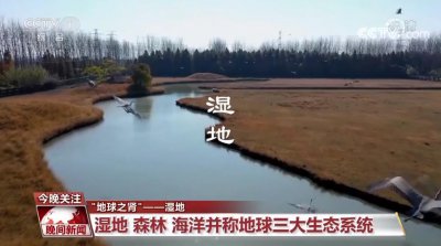 ​湿地被称为什么_关于湿地的资料