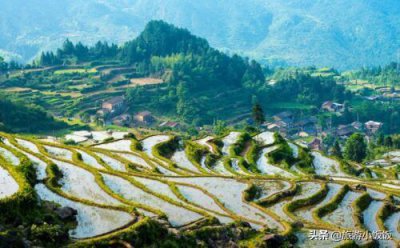 ​浙江丽水旅游必去十大景点（丽水旅游景点哪里好玩推荐）