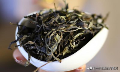 ​普洱茶的冲泡方法和技巧（普洱茶饼冲泡口感好喝的诀窍）