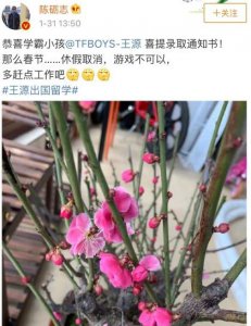 ​王源被伯克利录取最好的年纪做最喜欢的事情