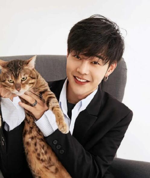 一夜新娘男主袁昊几几年的 他的脸是邓伦白宇的结合体吗