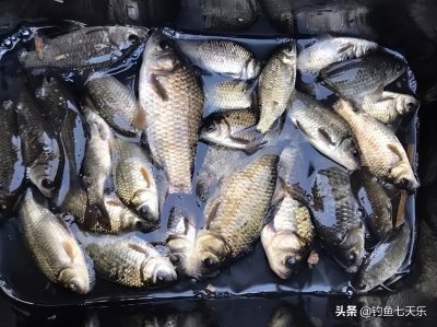 ​春天西南风好钓鱼吗（春天不同风向对中鱼率有什么影响）