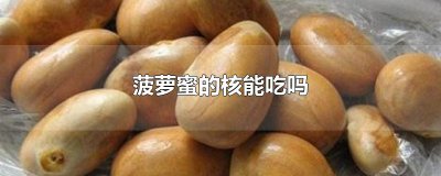 ​菠萝蜜的核能吃吗