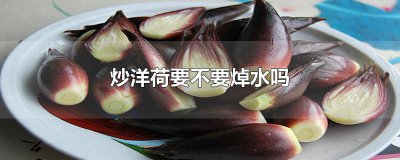 ​炒洋荷要不要焯水吗