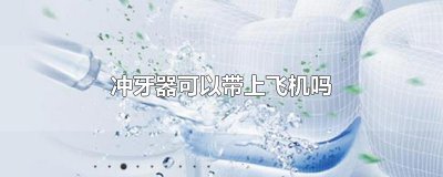 ​冲牙器可以带上飞机吗