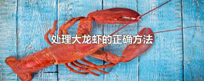 ​处理大龙虾的正确方法