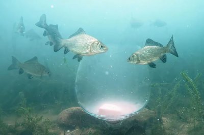 ​钓鱼必知的50个技巧（海量流行钓鱼技巧大公开）