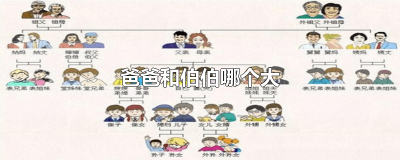 ​爸爸和伯伯哪个大