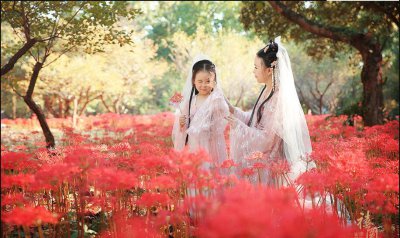 ​彼岸花的传说故事是真的吗（情定彼岸花的三个传说简介）