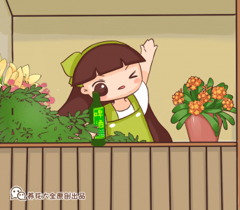 ​啤酒能浇花吗（给花喂点小啤酒花期延长1个月）