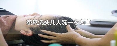 ​茶麸洗头几天洗一次为宜