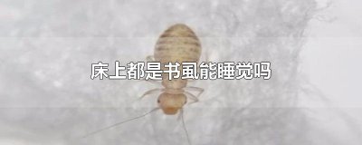 ​床上都是书虱能睡觉吗