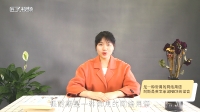 ​很耐斯是什么意思