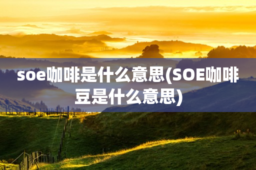 soe咖啡是什么意思(SOE咖啡豆是什么意思)