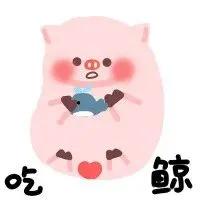 WINK(wink猪表情包)