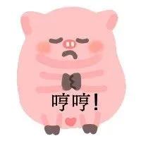 WINK(wink猪表情包)