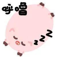 WINK(wink猪表情包)