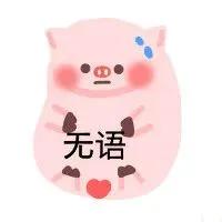 WINK(wink猪表情包)