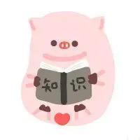 WINK(wink猪表情包)