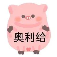 WINK(wink猪表情包)