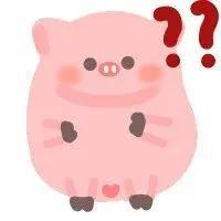 WINK(wink猪表情包)