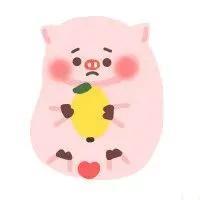 WINK(wink猪表情包)