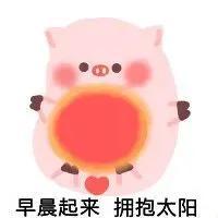 WINK(wink猪表情包)