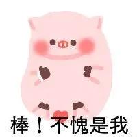 WINK(wink猪表情包)