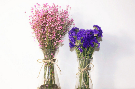 满天星水养方法和注意事项（图）(图3)