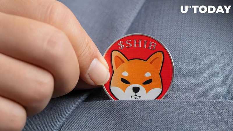 shib币价格今日行情(SHIB 价格触及转折点)