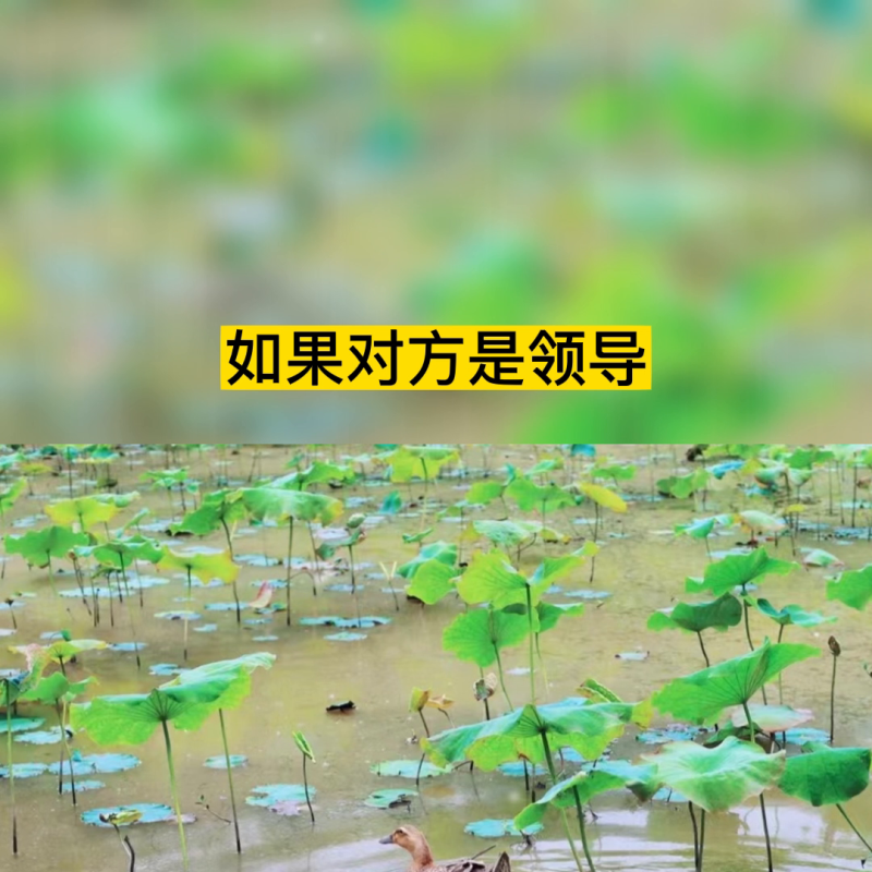 放风筝350字作文三年级下(放风筝)