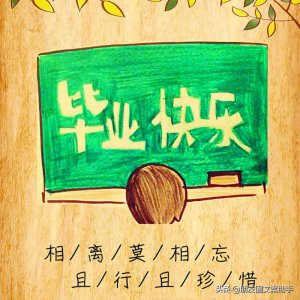 ​小学毕业感言感谢老师(毕业感恩老师的文案句子)