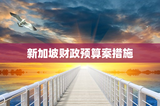 新加坡财政预算案措施