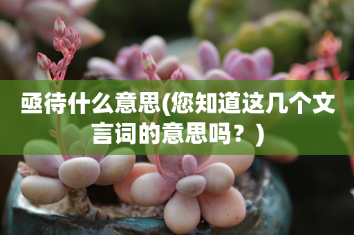 亟待什么意思(您知道这几个文言词的意思吗？)