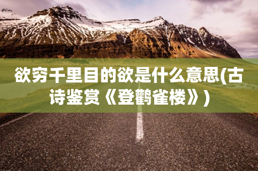 欲穷千里目的欲是什么意思(古诗鉴赏《登鹳雀楼》)