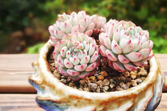 法师零下能活吗(图2)