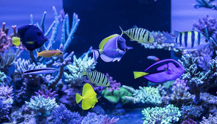 青岛海底隧道在海底多深