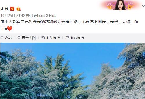 fx现在都没有提宋茜了?宋茜是退出fx了吗