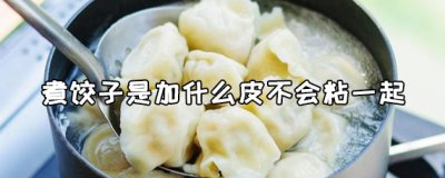 ​煮饺子是加什么皮不会粘一起 煮饺子不破皮的方法