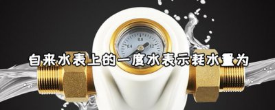 ​自来水表上的一度水表示耗水量为多少？