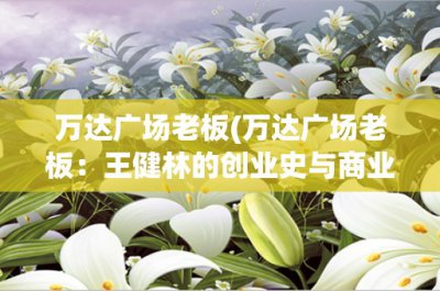 ​万达广场老板(万达广场老板：王健林的创业史与商业帝国)